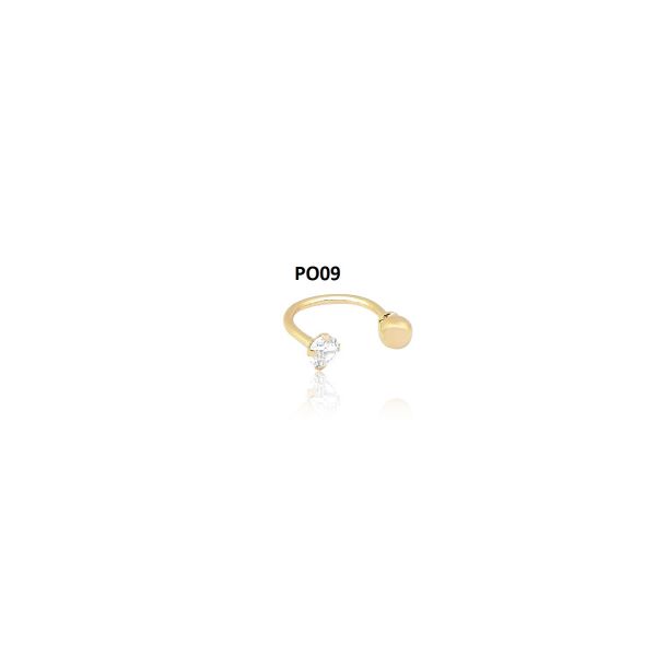 PO09
