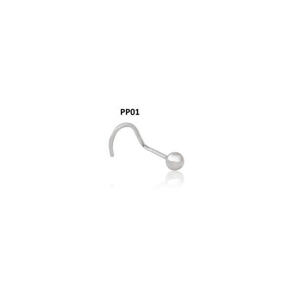 PP01