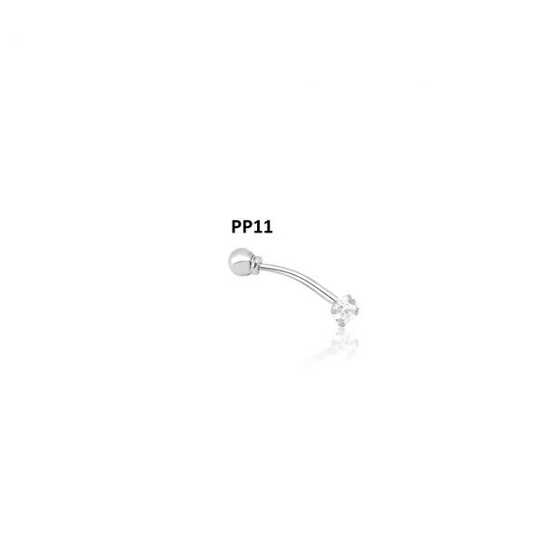 PP11